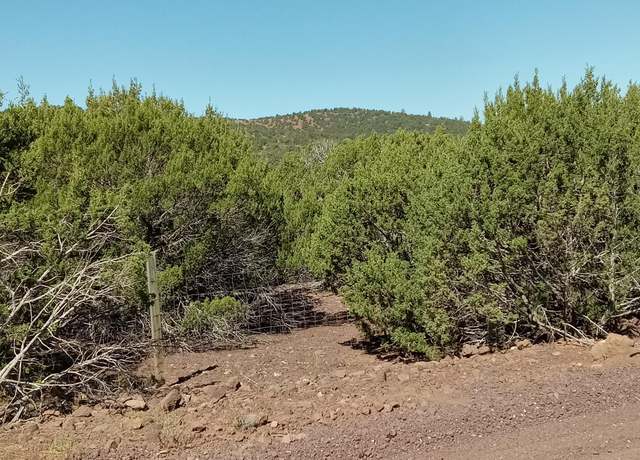 Property at TBD County Road 3193 Lot 258, Vernon, AZ 85940