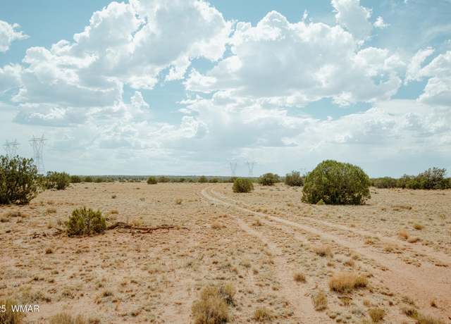 Property at 144 N9027, Concho, AZ 85924
