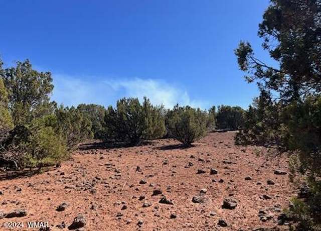 Property at 44 County Road 8114, Concho, AZ 85924