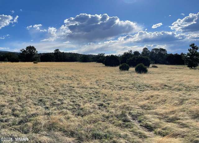 Property at TBD Sky Crest Dr Lot 45, Eagar, AZ 85925
