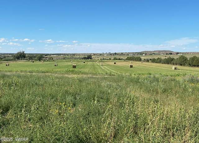 Property at 000 Bordon Ranch Rd, Taylor, AZ 85939