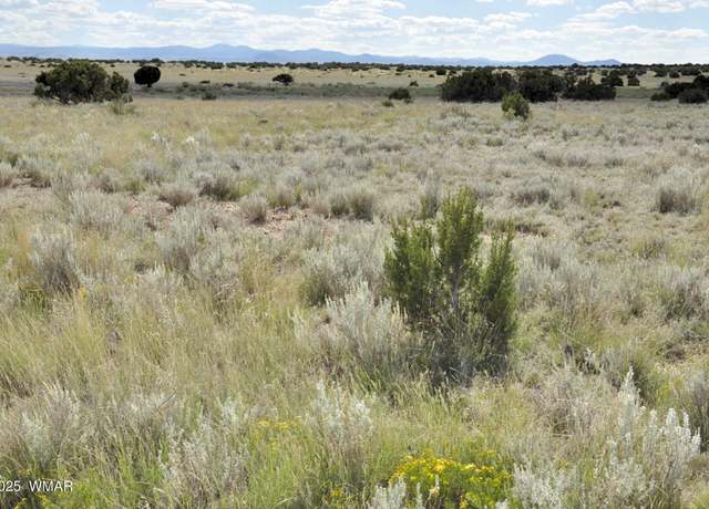 Property at 232 acres River Springs Rnch, St. Johns, AZ 85936