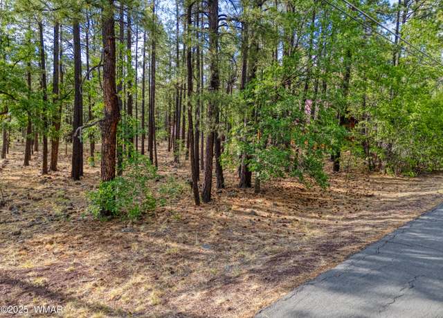 Property at 7202 Tall Pine Dr, Pinetop, AZ 85935