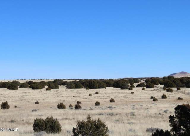 Property at 13 CR 8006, Concho, AZ 85924