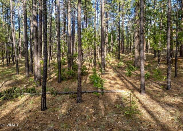 Property at 15 Co Rd 2083, Alpine, AZ 85920