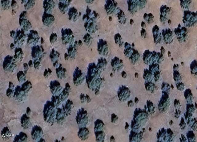 Property at 16 County Road 8136, Concho, AZ 85924