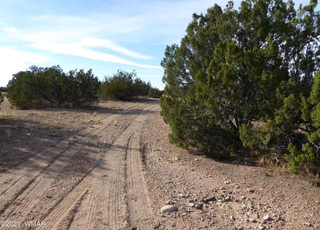 Property at 111- 17-009, Heber, AZ 85928