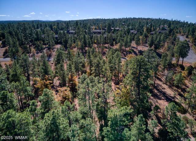 Property at 6994 Leo Ln, Lakeside, AZ 85929