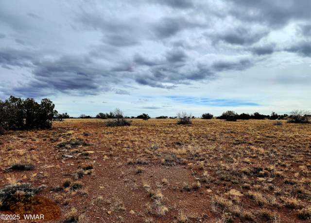 Property at Lot 211 Dry Pasture Rd, Heber, AZ 85928