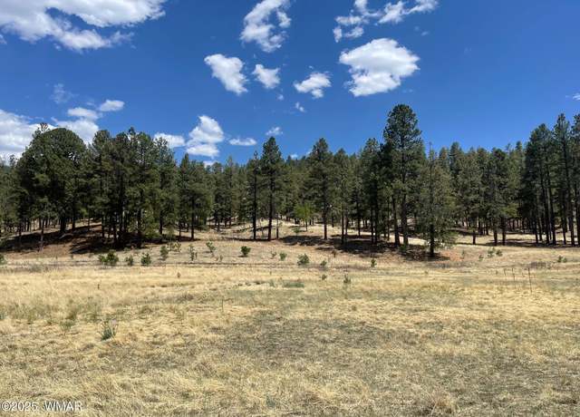 Property at TBD County Road N2275, Nutrioso, AZ 85932
