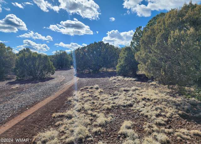 Property at 81 N 3328, Vernon, AZ 85940