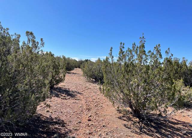 Property at TBD Falcon Dr, Taylor, AZ 85939