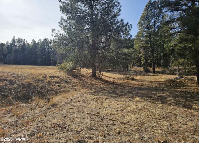 Property at 528 & 530 Summit Dr, Show Low, AZ 85901