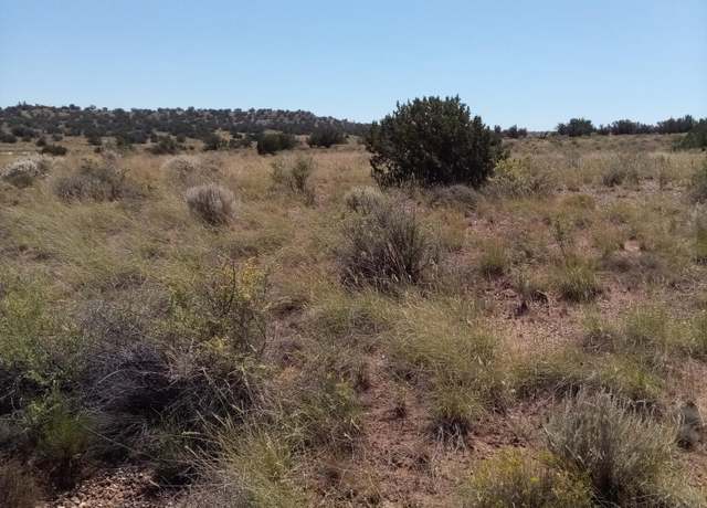 Property at 8875 Juniper Berry Trl, Snowflake, AZ 85937
