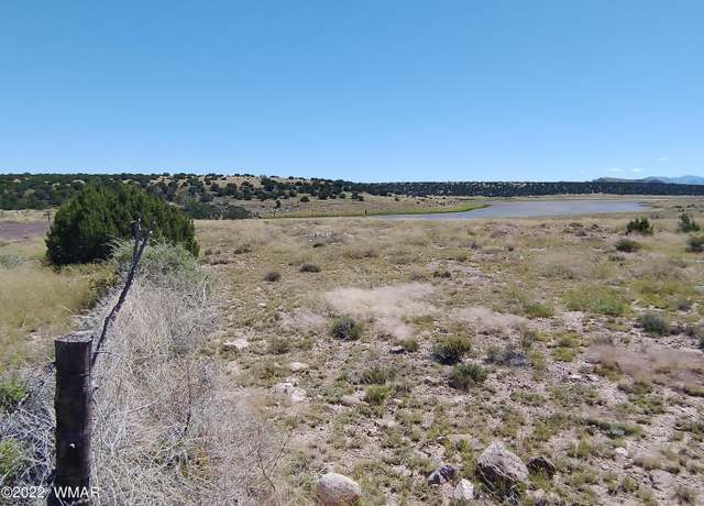 Property at 36984 Highway 61, Concho, AZ 85924
