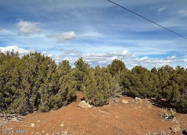 Property at 233 CR 8088 Hohokam Rd #8088, Concho, AZ 85924