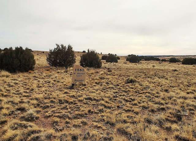 Property at 1581 W Harvest Ct Lot 118A, Taylor, AZ 85939