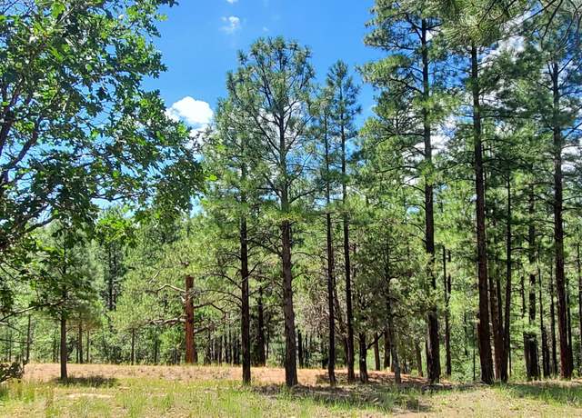 Property at 2526 Well Water Rd, AZ 86024