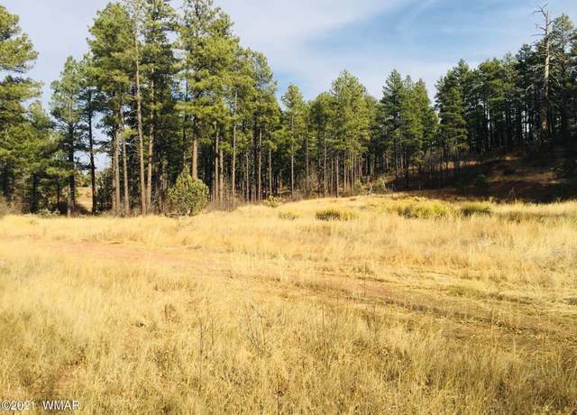 Property at 0000 AZ-260, Show Low, AZ 85901