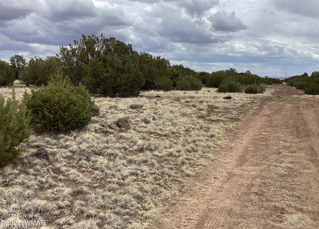 Property at 207 8056, Concho, AZ 85924