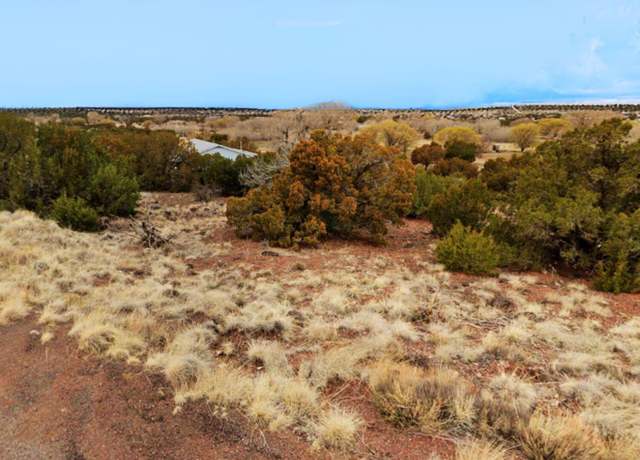 Property at 83 County Road 5083, Concho, AZ 85924