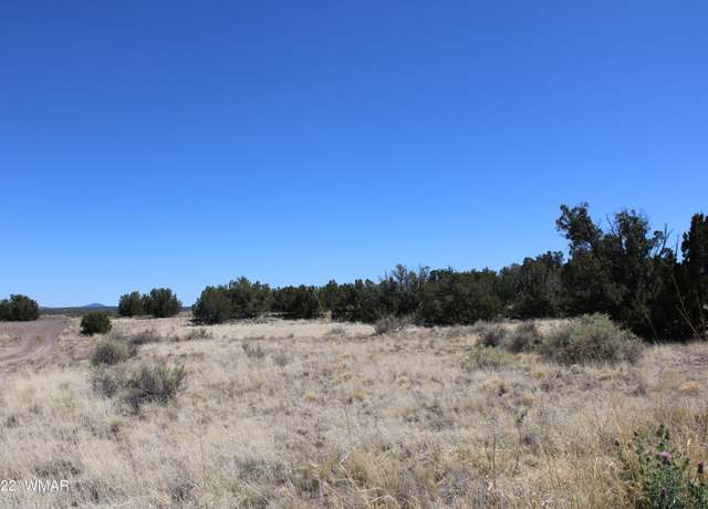 Property at 7655 Del Rio Dr, Show Low, AZ 85901