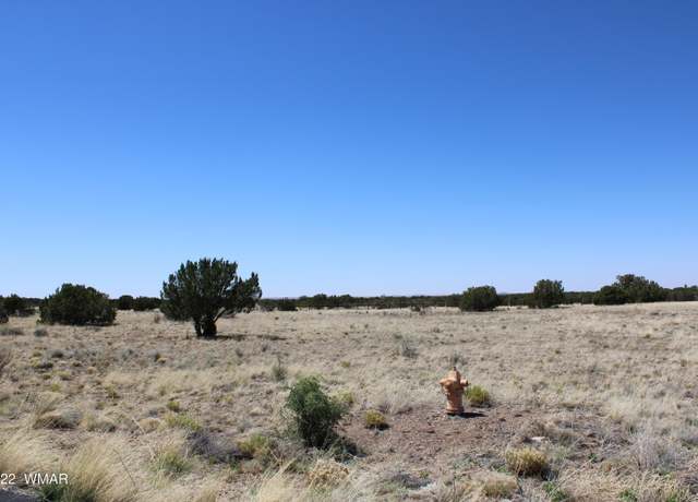 Property at 7688 Arroyo Plata Dr, Show Low, AZ 85901