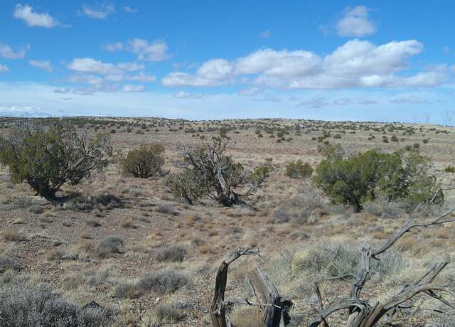 Property at 5280 Concho Ocho Rd, Snowflake, AZ 85937