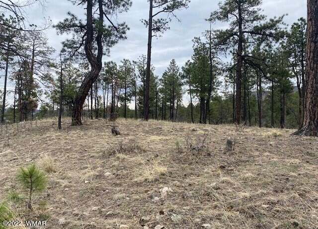 Property at 000 COUNTY ROAD 2193, Alpine, AZ 85920