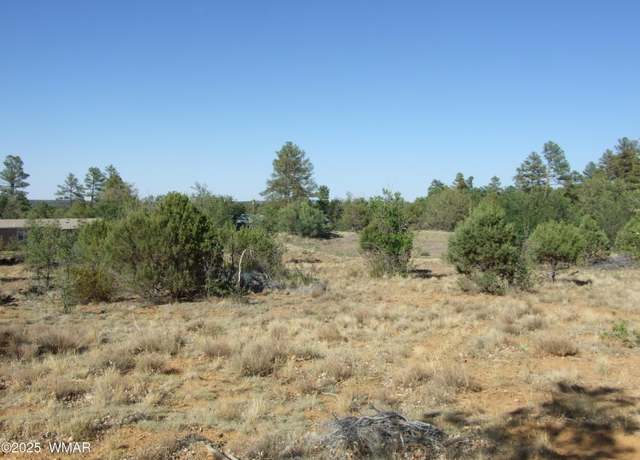 Property at Parcel A Lamb Dr, Pinedale, AZ 85934
