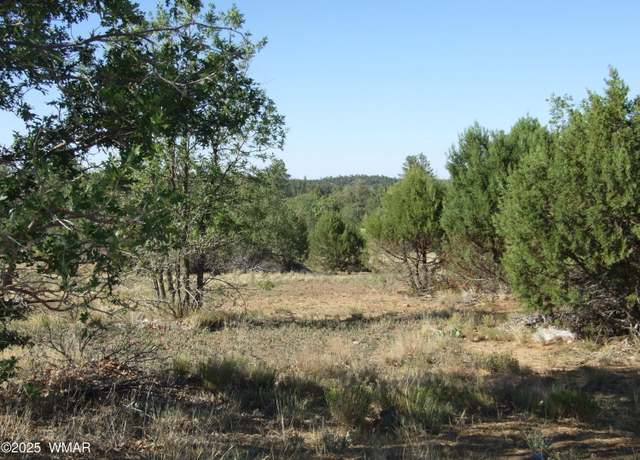 Property at Parcel B Lamb Dr, Pinedale, AZ 85934