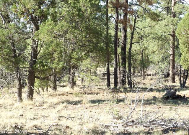 Property at Parcel C Lamb Dr, Pinedale, AZ 85934