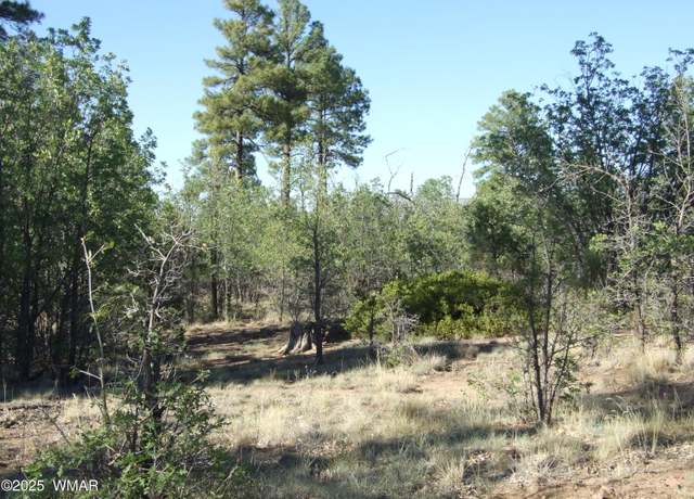 Property at Parcel D Lamb Dr, Pinedale, AZ 85934