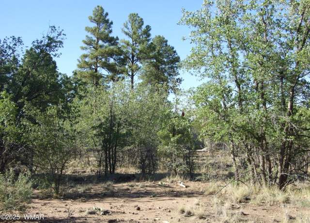 Property at Parcel E Lamb Dr, Pinedale, AZ 85934
