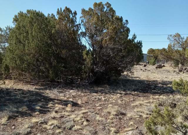 Property at 8579 Jackrabbit Dr, Show Low, AZ 85901