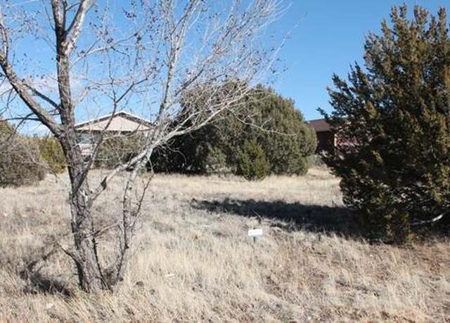Property at 601 S Rock Ridge Dr, Show Low, AZ 85901