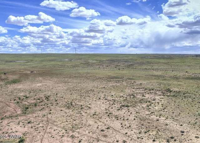 Property at tbd 211-25-116 Perified Forest Ests, Adamana, AZ 86028