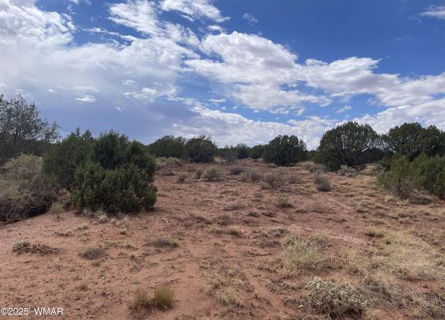 Property at 4372 Apache Rd, Snowflake, AZ 85937