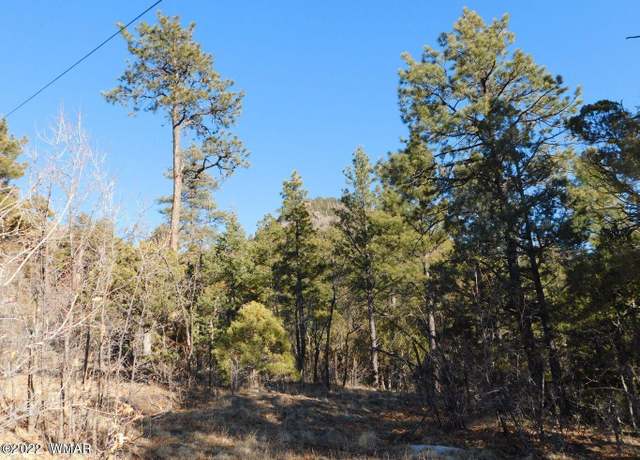 Property at LOT 34, COUNTY RD. 2279 Lot 34, NOBLE MTN ESTATES, Nutrioso, AZ 85932