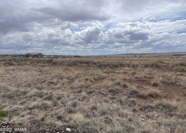 Property at 29 County Road 6010, St. Johns, AZ 85936