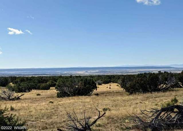 Property at Lot 554 Woodland Valley Rnch, St. Johns, AZ 85936