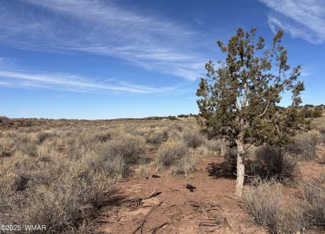 Property at 9659 E Juniper Berry Trl, Snowflake, AZ 85937