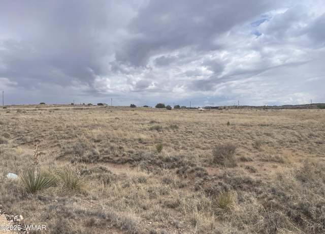 Property at 19 County Road 6012, St. Johns, AZ 85936