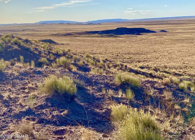 Property at Carrizo Ranch Lot 297 41.17 Acres, St. Johns, AZ 85936