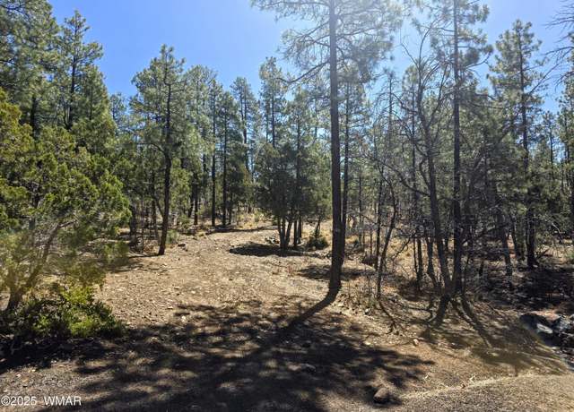 Property at 2501 S Pine Wood Ln, Pinetop, AZ 85935