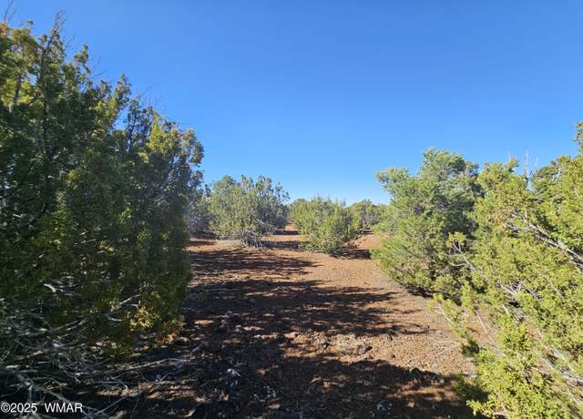 Property at 21 Co Rd 8032 #8032, Concho, AZ 85924
