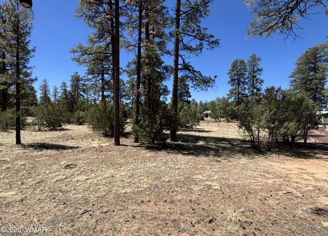 Property at TBD Between 2901 & 2905 PIne Rim Rd, Overgaard, AZ 85933