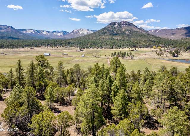 Property at CR 2030 Forest Ln, Nutrioso, AZ 85932