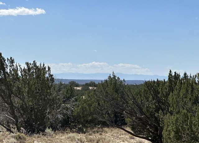 Property at ACR 7230, St. Johns, AZ 85936