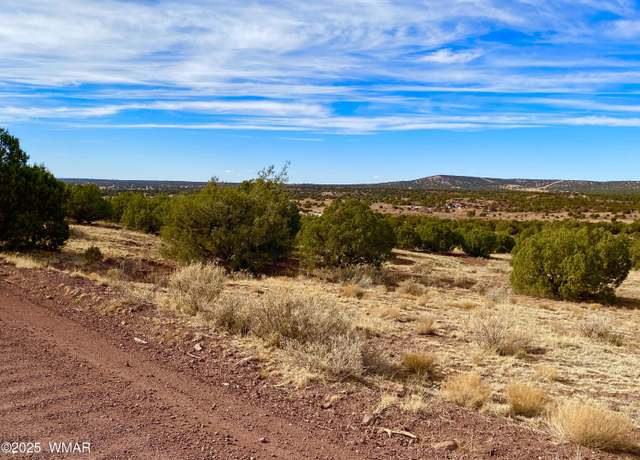 Property at TBD Co Rd 8269 Lots 150 & 151, Concho, AZ 85924